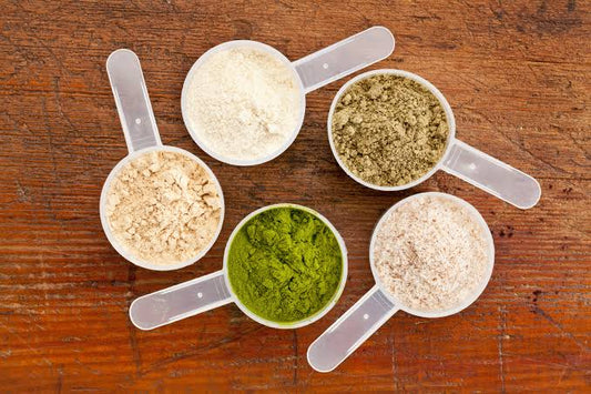 Whey Ptotein vs Plant Protein