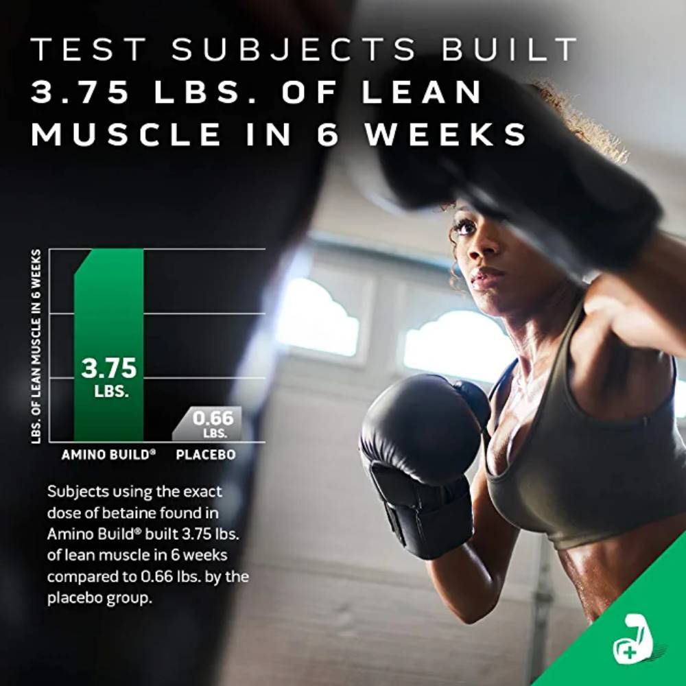 Muscletech Amino Build Bcaa - Muscle Engine Supplement Store