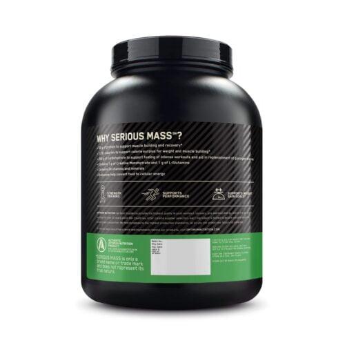 Optimum Nutrition (ON) Serious Mass Weight Gainer Powder - Muscle Engine Supplement Store