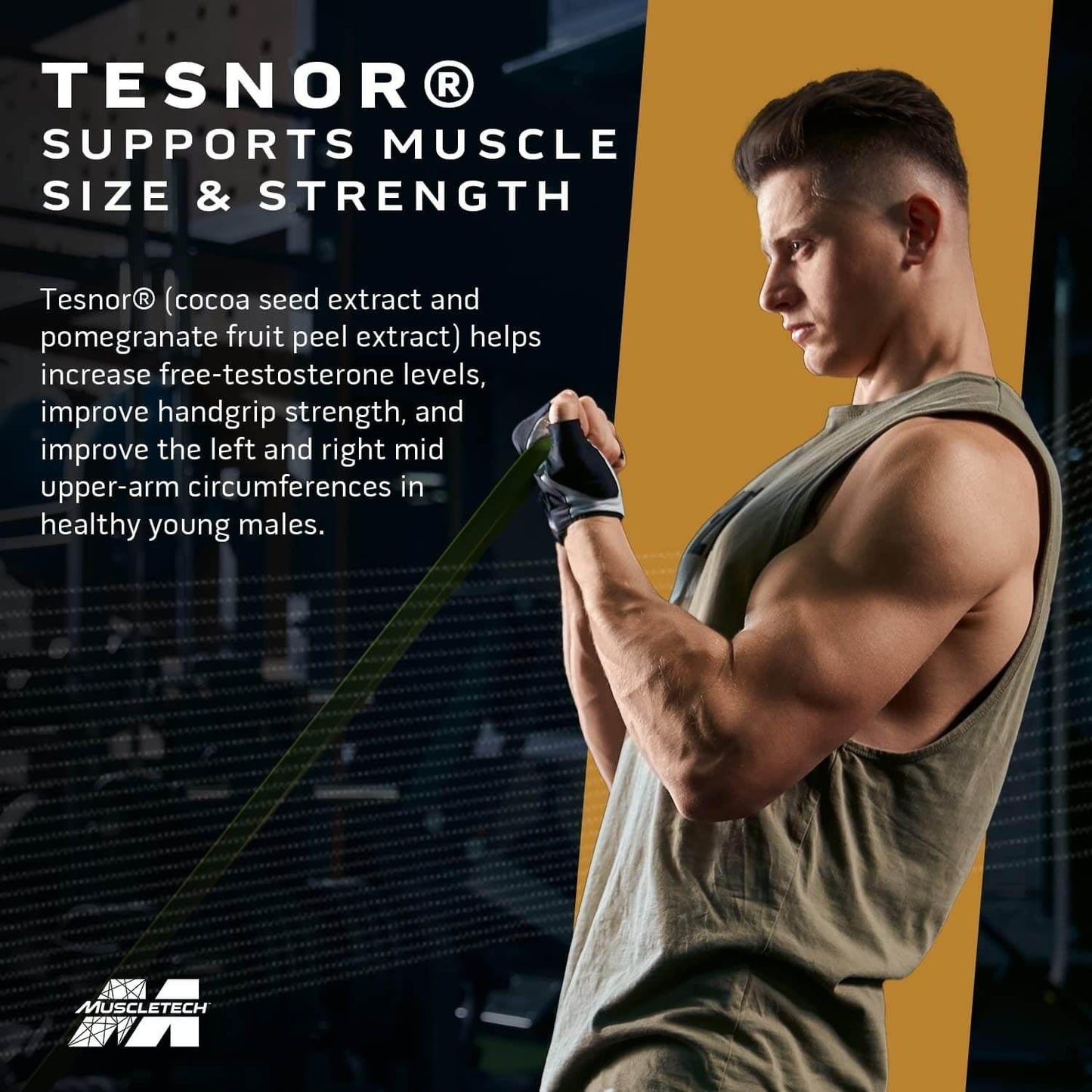Muscletech Test-HD Elite - Muscle Engine Supplement Store