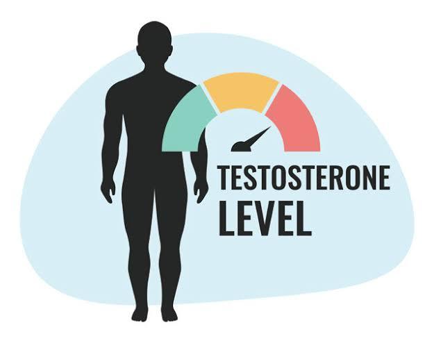 Why is testosterone need for muscle gain  - Muscle Engine Supplement Store