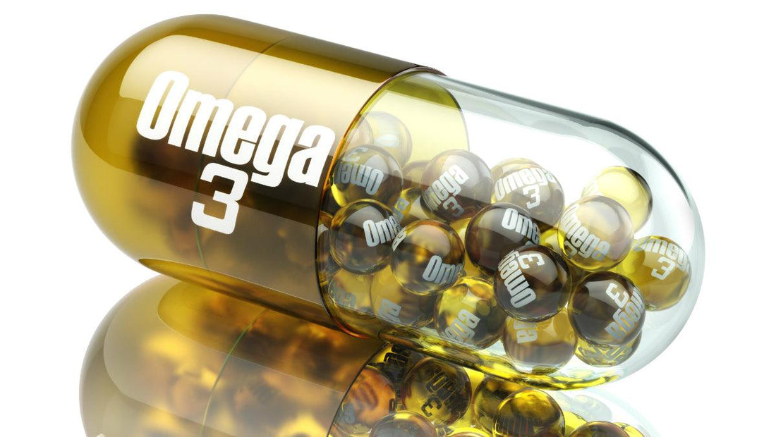 Are u Thinking To Take Omega-3 Fatty Acid? - Muscle Engine Supplement Store