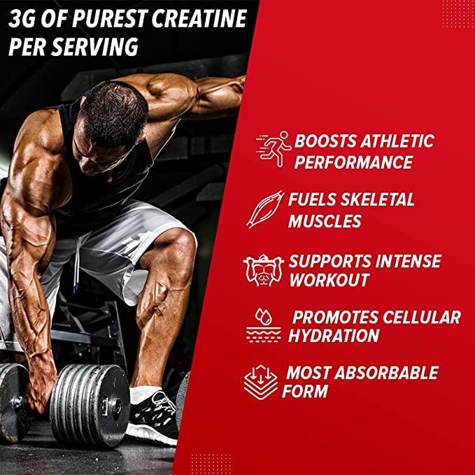 GNC Pro Performance Creatine Monohydrate - Muscle Engine Supplement Store