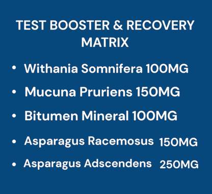 MUSCLE ENGINE SIZE UP POWERFUL MUSCLE BUILDING FORMULA WITH CREATINE AND NATURAL TEST BOOSTER - Muscle Engine Supplement Store